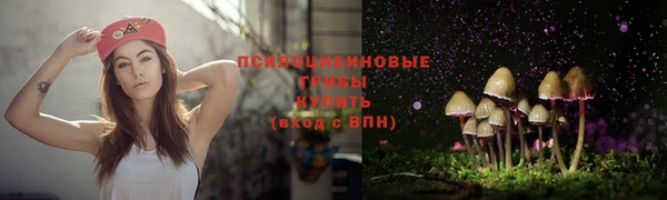 ПСИЛОЦИБИНОВЫЕ ГРИБЫ Ханты-Мансийск