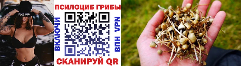 Псилоцибиновые грибы ЛСД Кинель