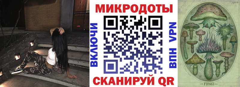 Псилоцибиновые грибы GOLDEN TEACHER  цена наркотик  Кинель 